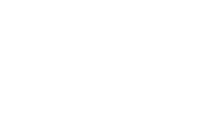 annual-multimedia